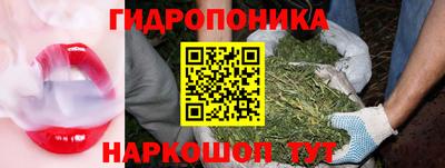 гидра Краснокаменск