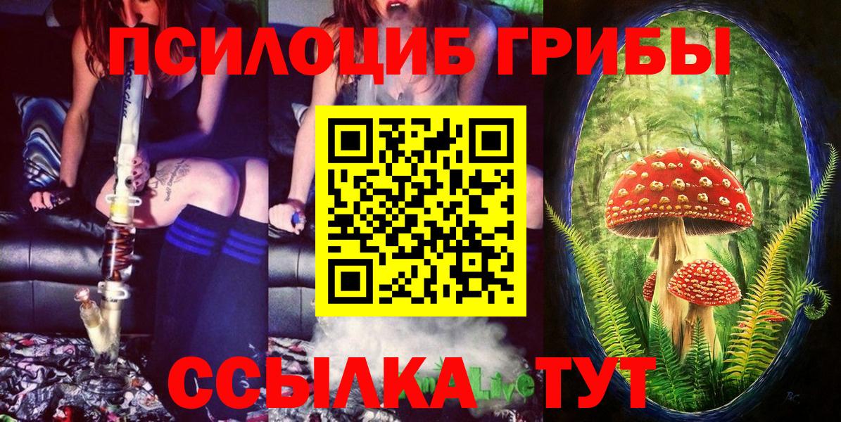 Псилоцибиновые грибы MAGIC MUSHROOMS Комсомольск-на-Амуре