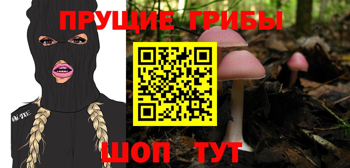Комсомольск-на-Амуре  Псилоцибиновые грибы GOLDEN TEACHER  Вход с VPN 